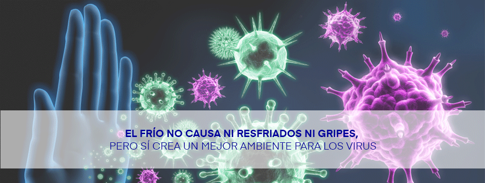 El frío no causa ni resfriados ni gripes, pero sí crea un mejor ambiente para los virus NOTICIA
