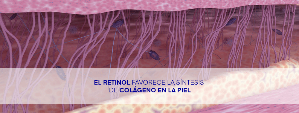 El Retinol favorece la síntesis de colágeno en la piel NOTICIA